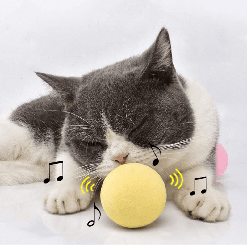 CatBall - Bola Interativa para Gatos com som de Animais - Bom Preço